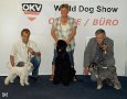 Aran - World Dog Show Salzburg 2012